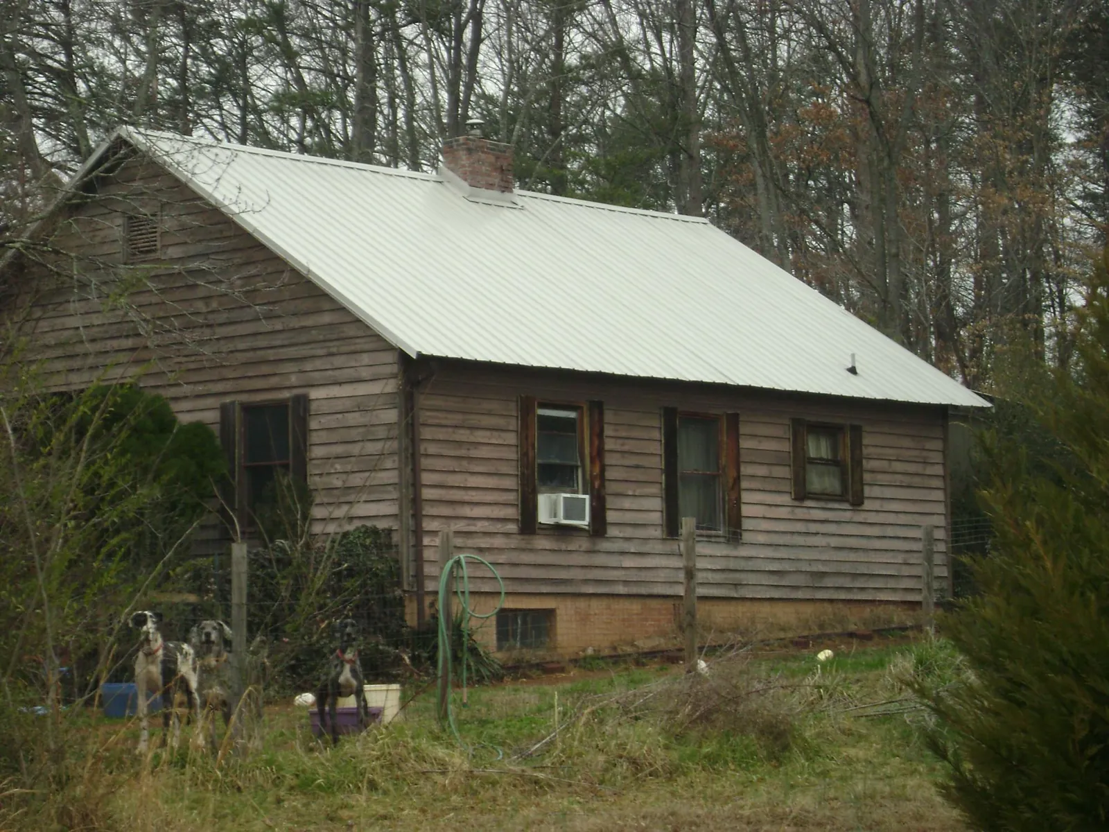 White metal roof on an old wood sided farmhouse, from a Asphalt Shingle Roof Repair job in Abilene